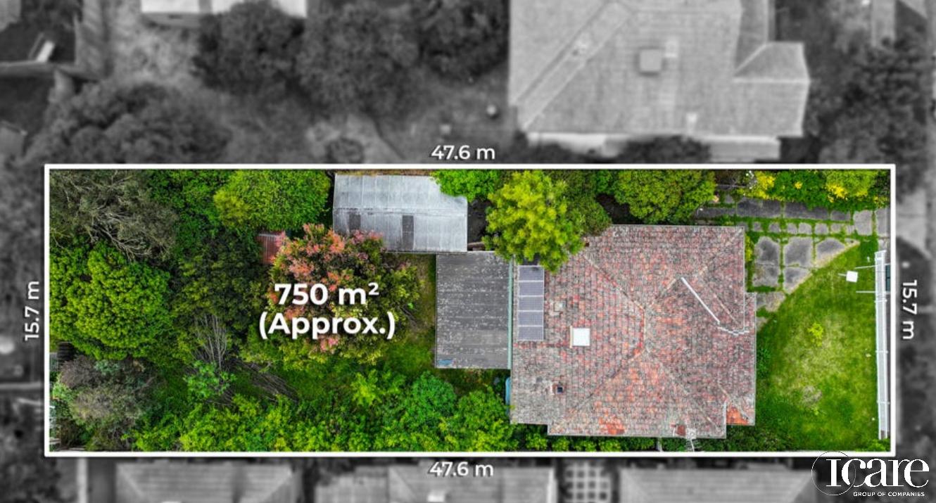 22 Howard Street, Box Hill, VIC 3128, Box Hill - Thumbnail 3
